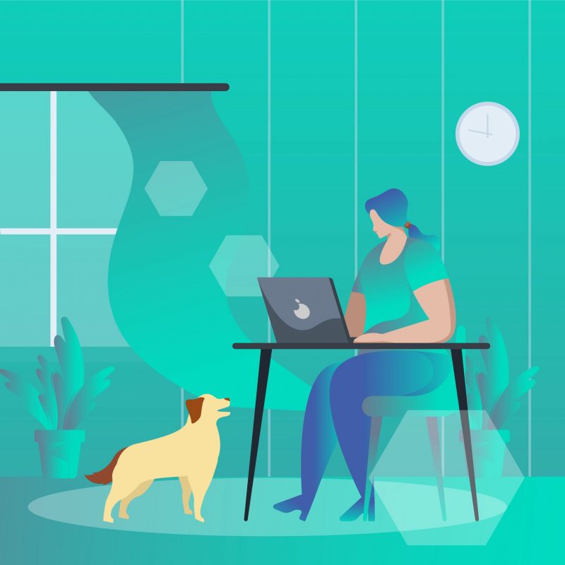 about-your-pet-urban-tailz
